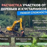 Расчистка территорий от деревьев и пней от 1 Га, Сочи